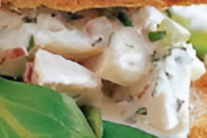 Martha Stewart Chicken Salad