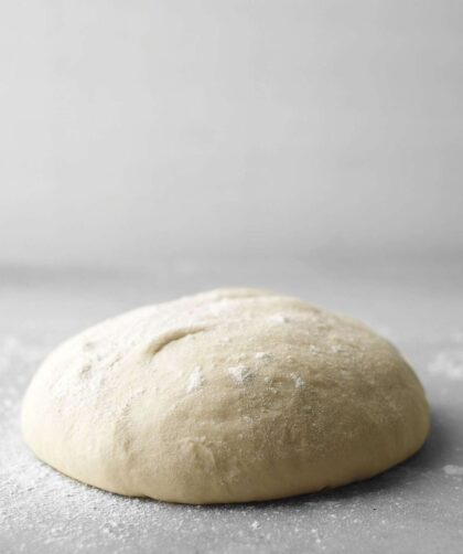Martha Stewart Pizza Dough