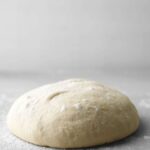 Martha Stewart Pizza Dough​