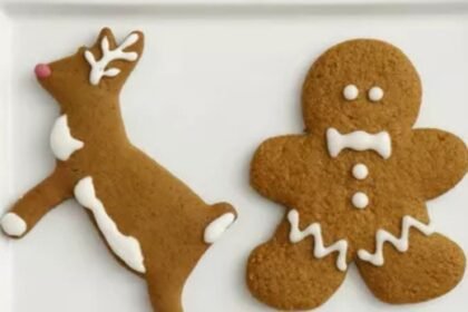 martha stewart royal icing​