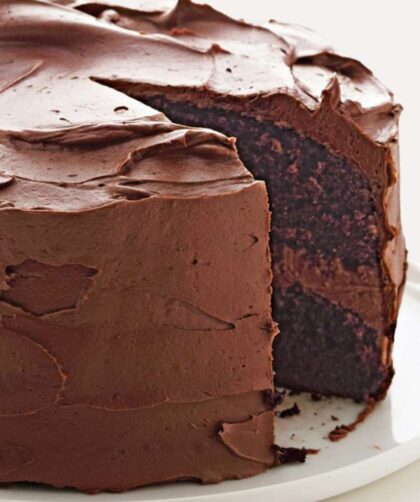 martha stewart chocolate cake​