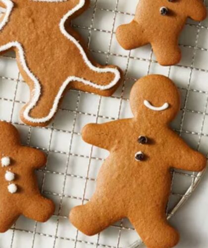 martha stewart gingerbread cookies