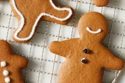 martha stewart gingerbread cookies​