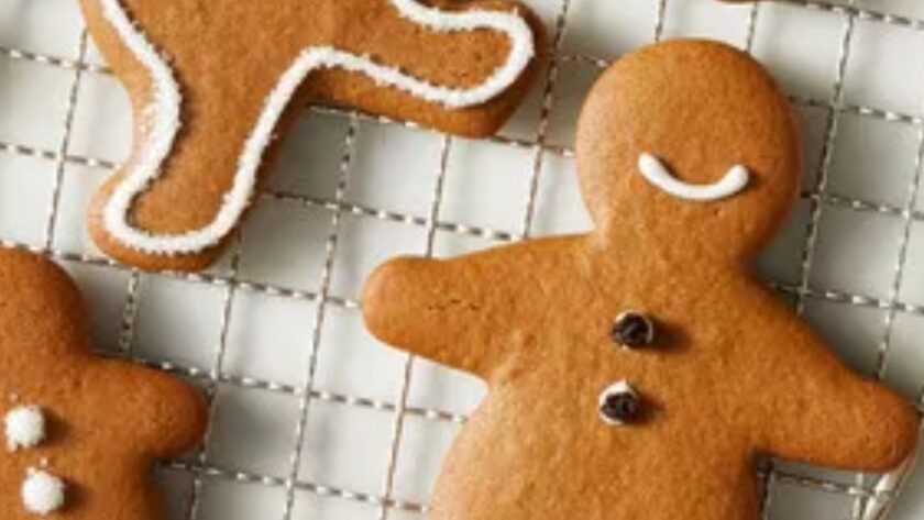 martha stewart gingerbread cookies​