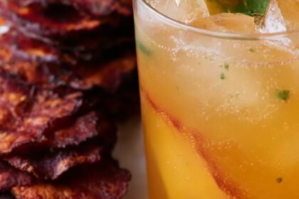 Apple Spritzers Recipe