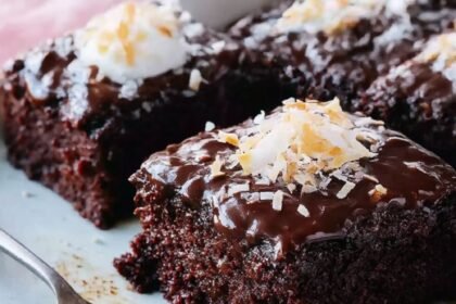 Chocolate-Coconut Sheet Cake Recipe