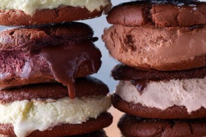 Chocolate Sea-Salt Brownie Ice Cream Sandwiches Recipe