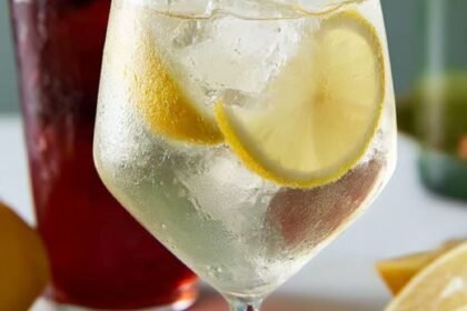Lemonade Spritzer Recipe