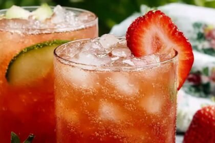 Strawberry-Cucumber Gin Elderflower Spritz Recipe