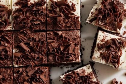 Martha Stewart Chocolate Sheet Cake