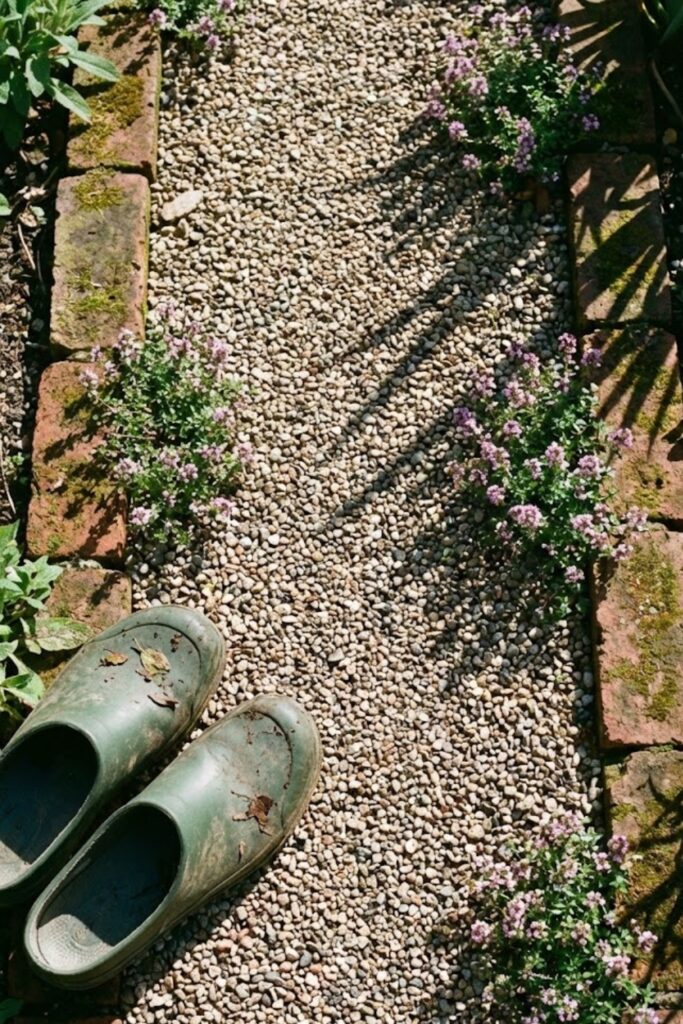 Pea gravel path with brick edging and creeping thyme