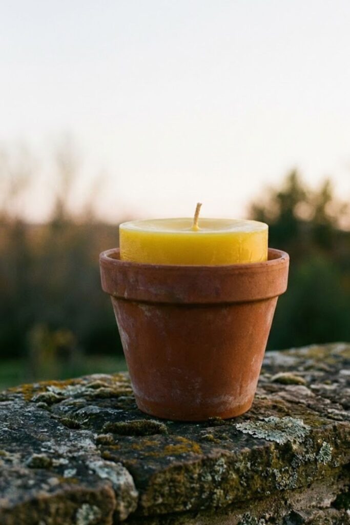 Citronella in Terracotta