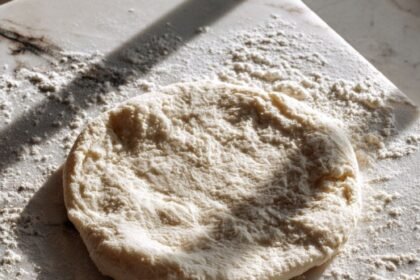Martha Stewart Quick Basic Pizza Dough Recipe