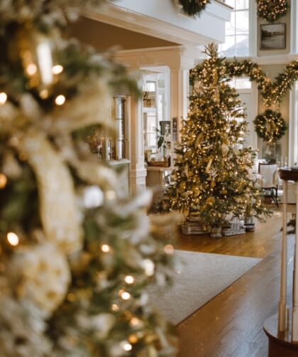 Martha Stewart Aesthetic Christmas: 15 Holiday Details That Turn a House into a Celebration
