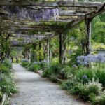 Martha Stewart Aesthetic Garden: 17 Principles for a Garden That Grows Like It Was Planned for Decades