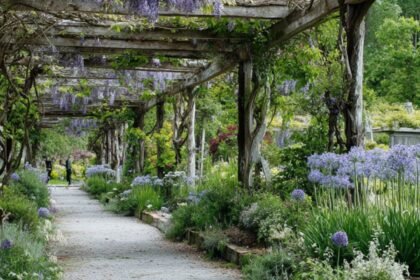 Martha Stewart Aesthetic Garden: 17 Principles for a Garden That Grows Like It Was Planned for Decades