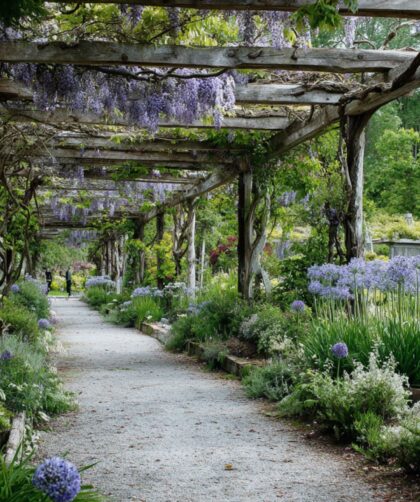 Martha Stewart Aesthetic Garden: 17 Principles for a Garden That Grows Like It Was Planned for Decades