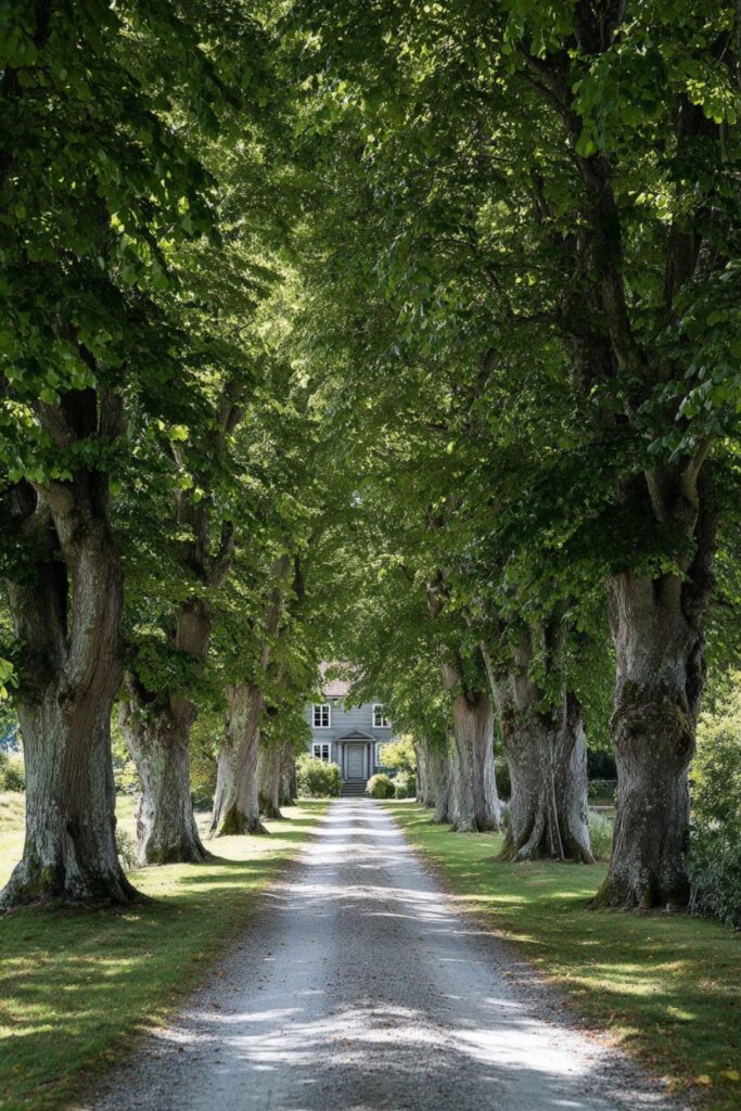 Martha Stewart Aesthetic Garden: 15 Principles from a Woman Who Has Been Gardening Since She Was Three