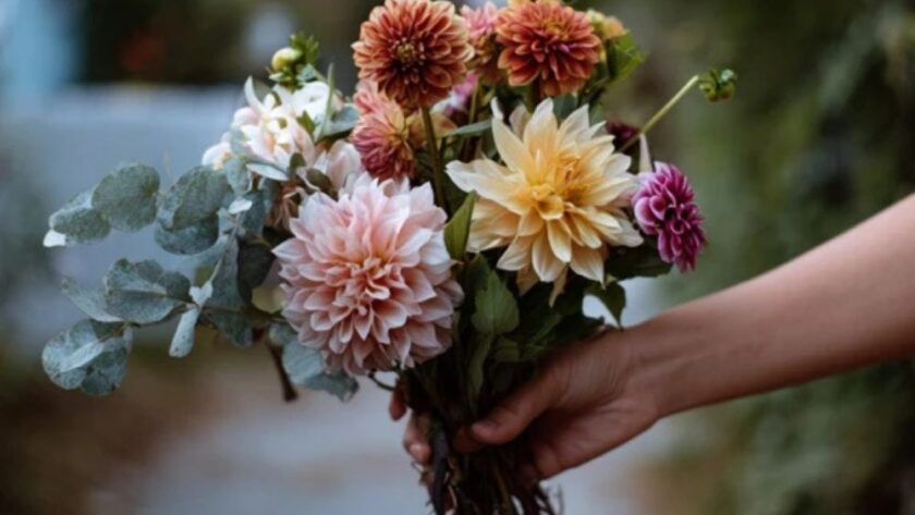 Fresh Flowers from the Garden, Not the Shop