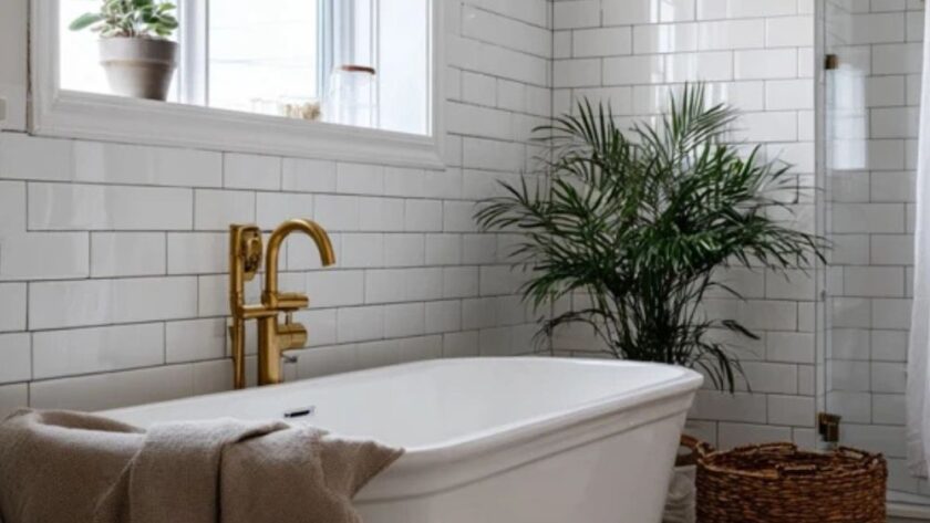 Martha Stewart Aesthetic Bathroom: 15 Details That Turn a Bathroom into the Quietest Room in the House