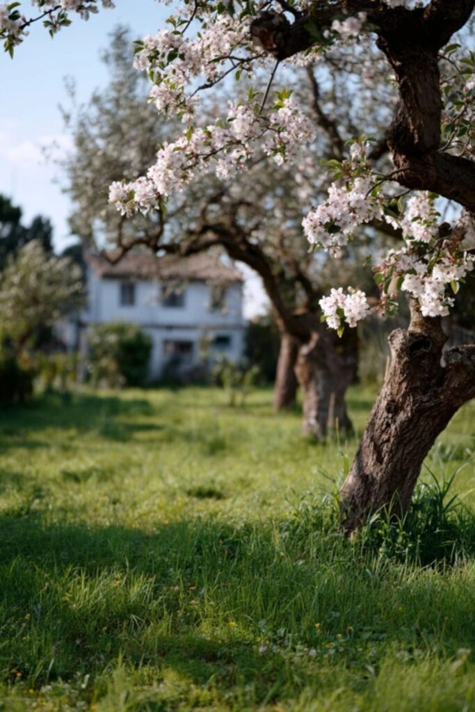 Heritage Fruit Trees Planted First