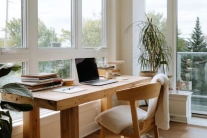 Natural Light as the Primary Light Source