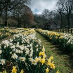 Martha Stewart Aesthetic Spring: 15 Details That Wake a House Up After Winter