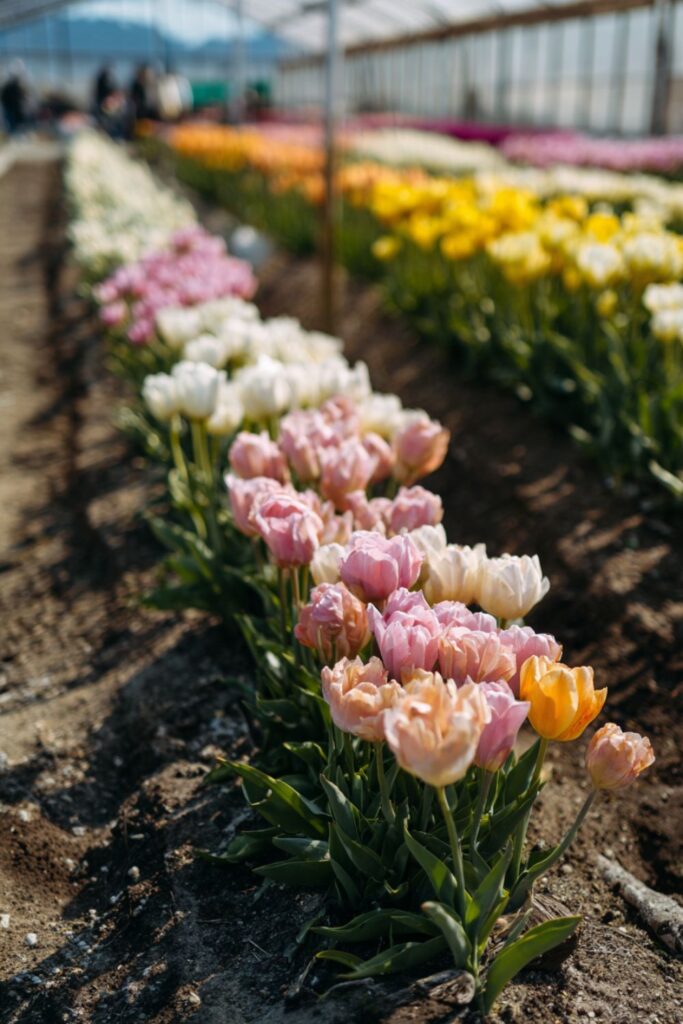 Martha Stewart Aesthetic Spring: 15 Details That Wake a House Up After Winter