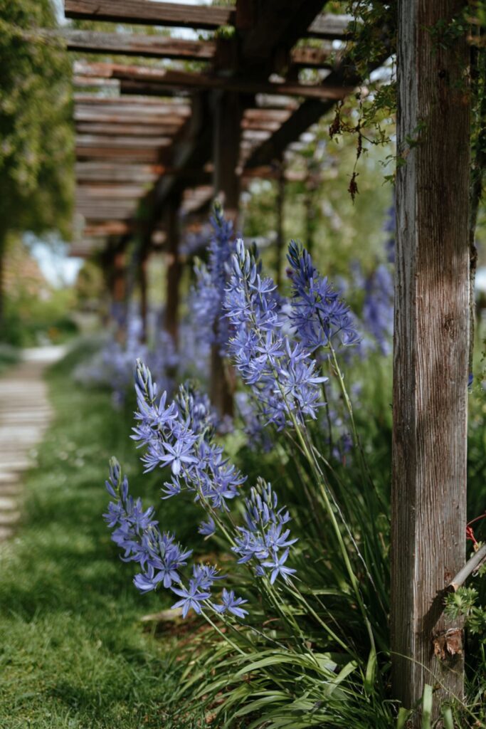 Martha Stewart Aesthetic Spring: 15 Details That Wake a House Up After Winter