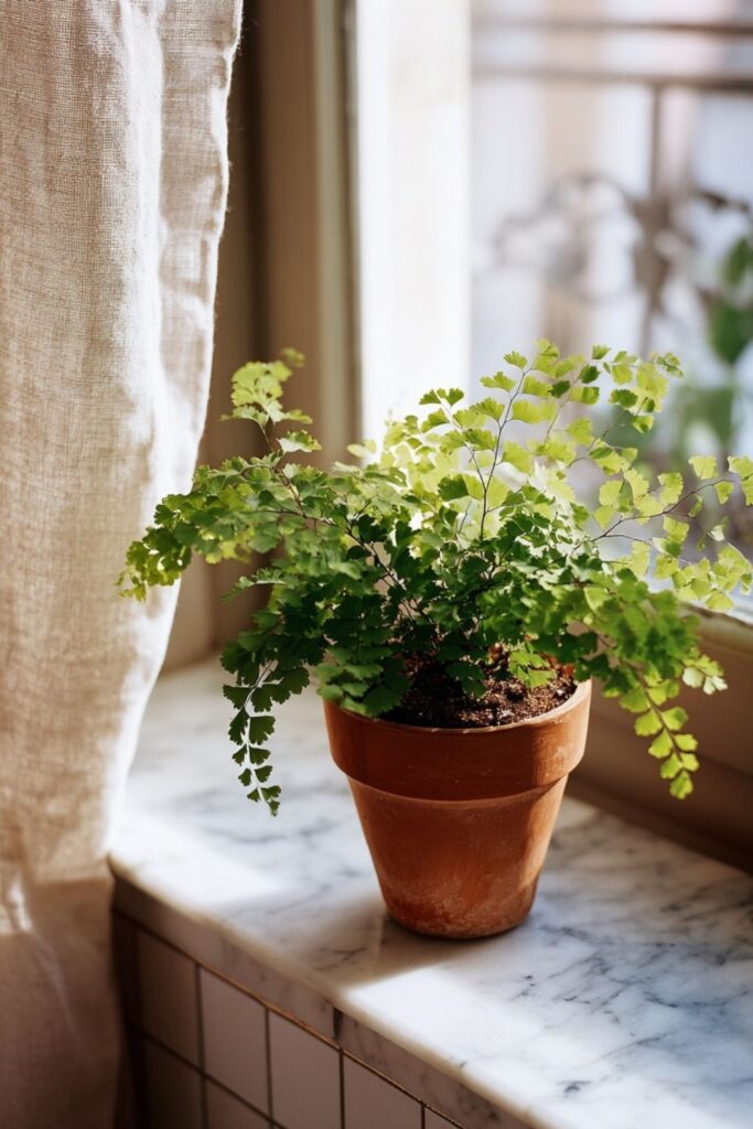 One Living Plant in a Simple Pot
